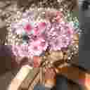 شهرگل محلاتی،