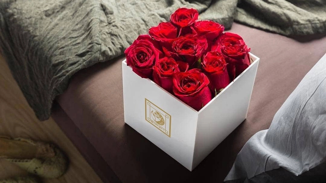 Getting to know the types of flower boxes