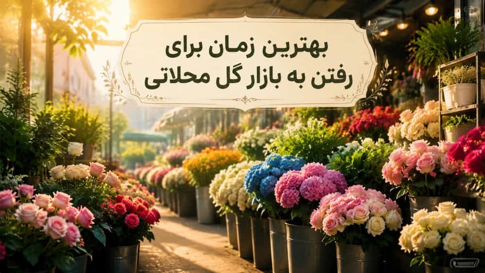 بهترین زمان برای رفتن به بازار گل محلاتی